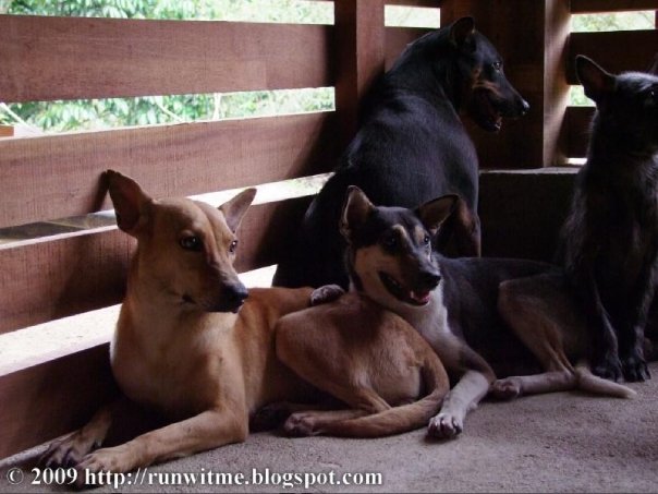 [5536_116520889164_694864164_2166950_3166660_n[1].jpg]